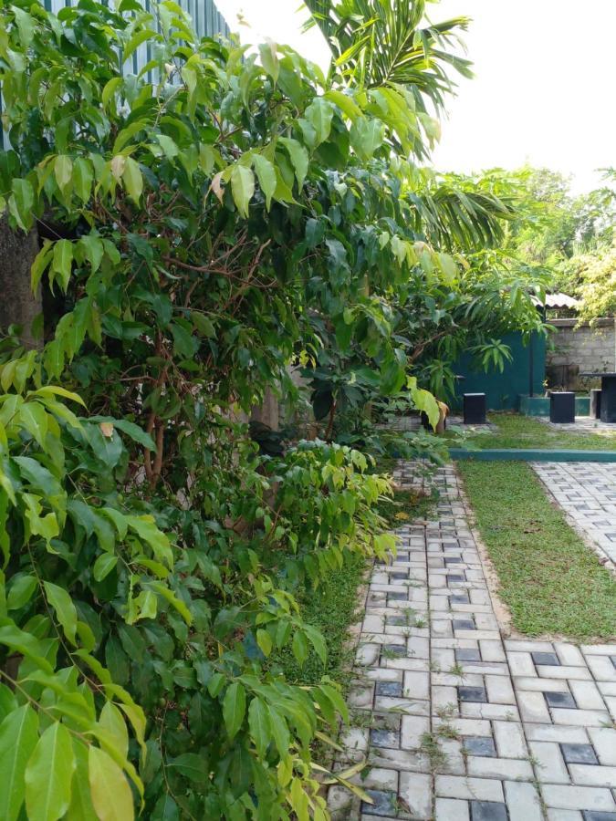 Thomasha Homestay Wellawaya Eksteriør bilde