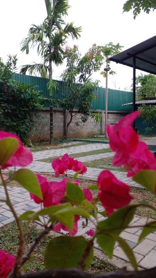 Thomasha Homestay Wellawaya Eksteriør bilde